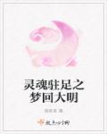 晚明风云
