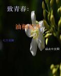 末世之无限星空