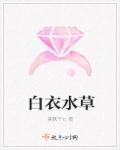 超级篮球皇帝系统
