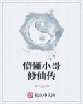 我的世界的勇士
